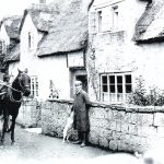 Horse and cart in Isle Brewers, Somerset